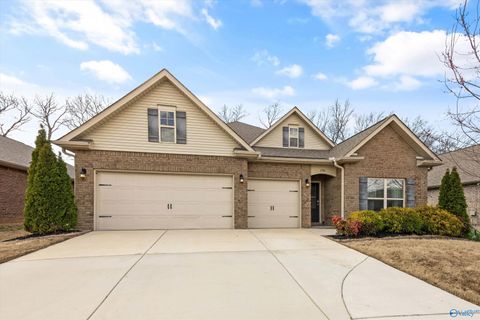 Photo of 280 Falcon Ridge Drive, New Market, AL 35761 (MLS # 21911542)