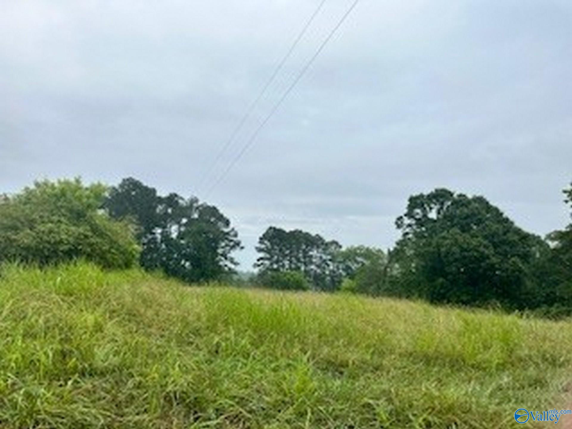 23.95 ACRES Murphree Road, Boaz, Alabama image 11