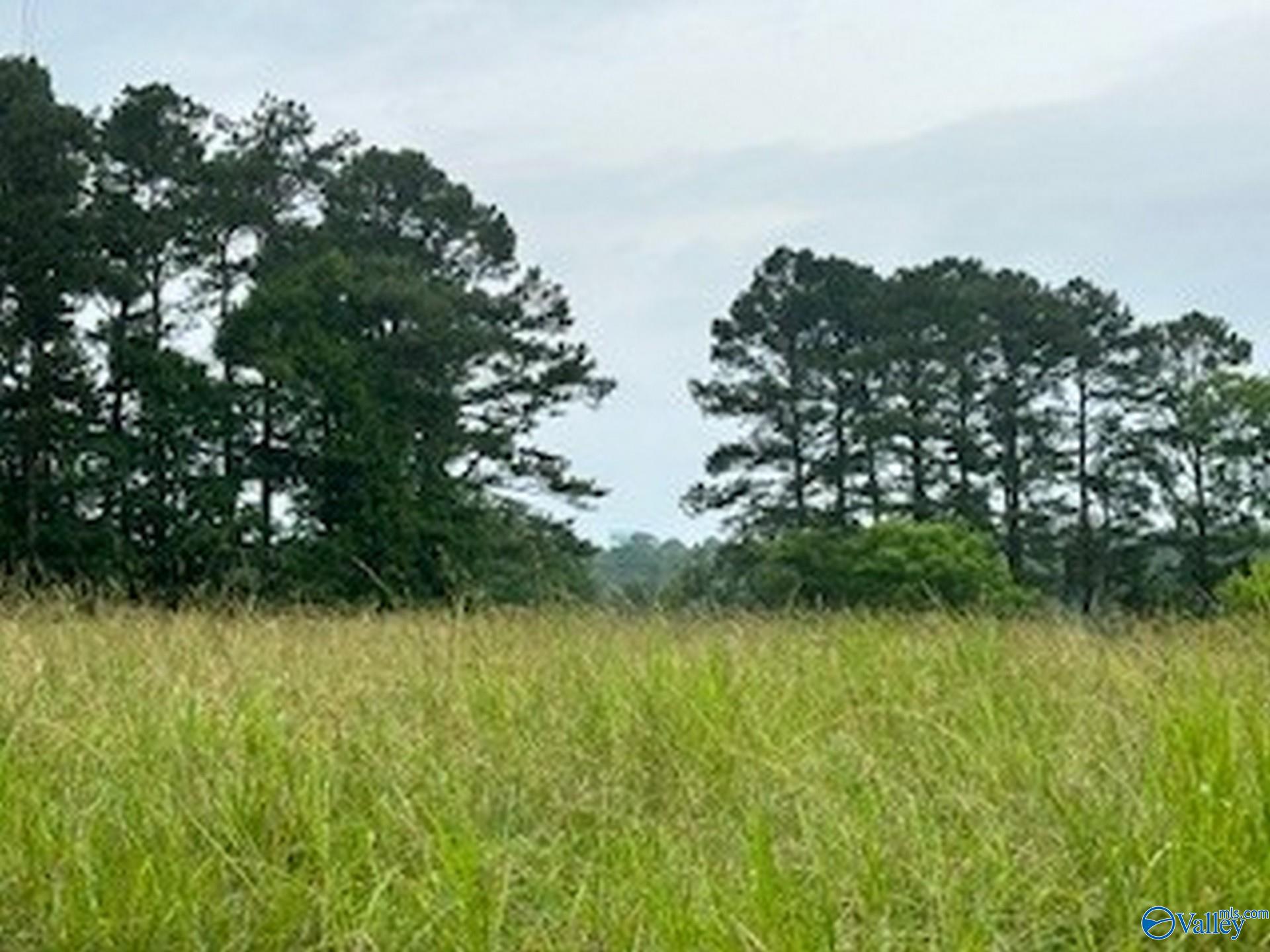 23.95 ACRES Murphree Road, Boaz, Alabama image 3