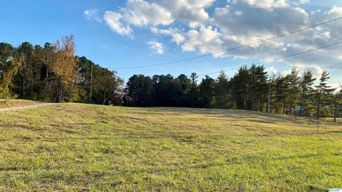 Vacant Land For Sale - 2722 Rainbow Drive<br/> Etowah County, Rainbow City, AL 35906