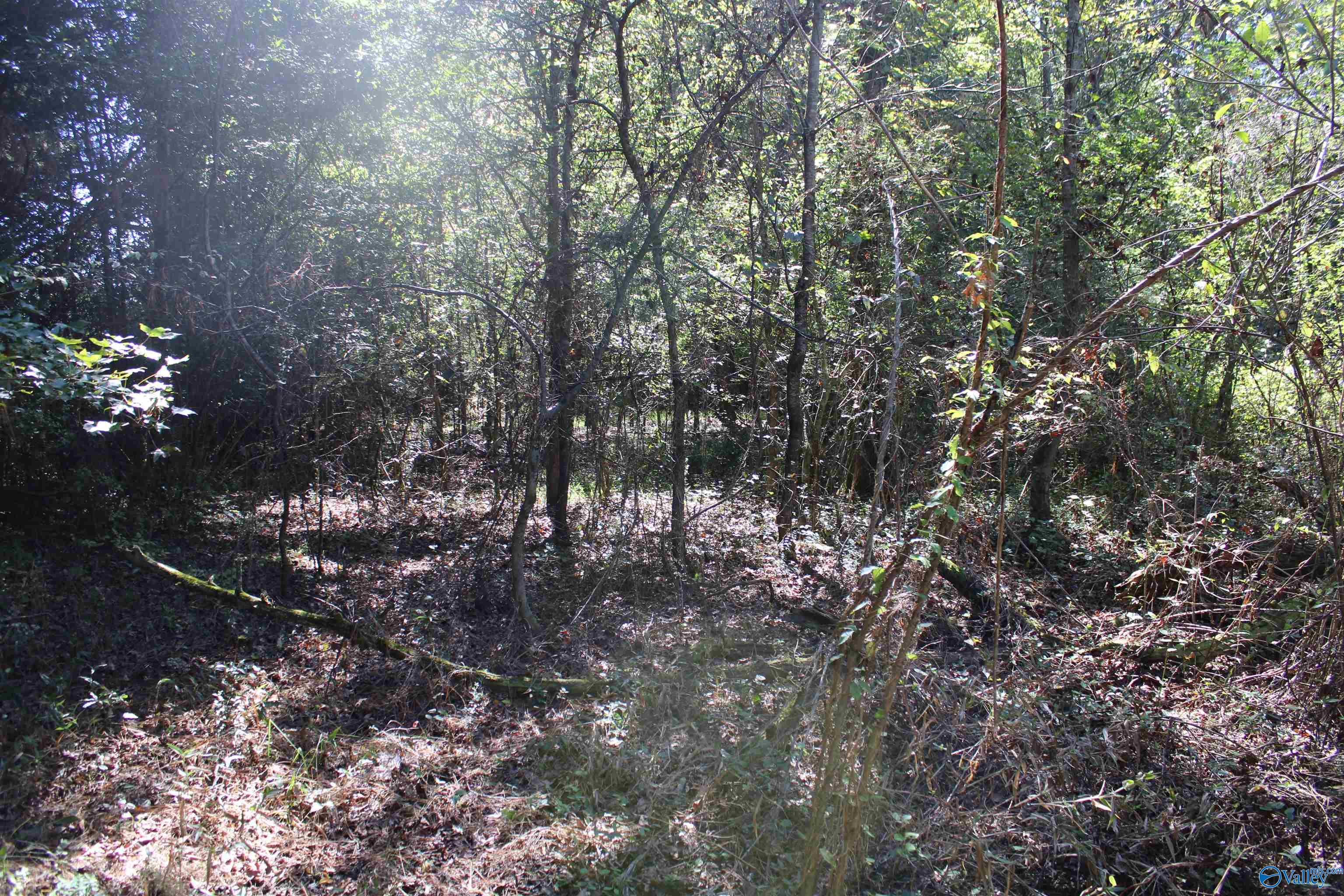 6.95 Acres 7th Street