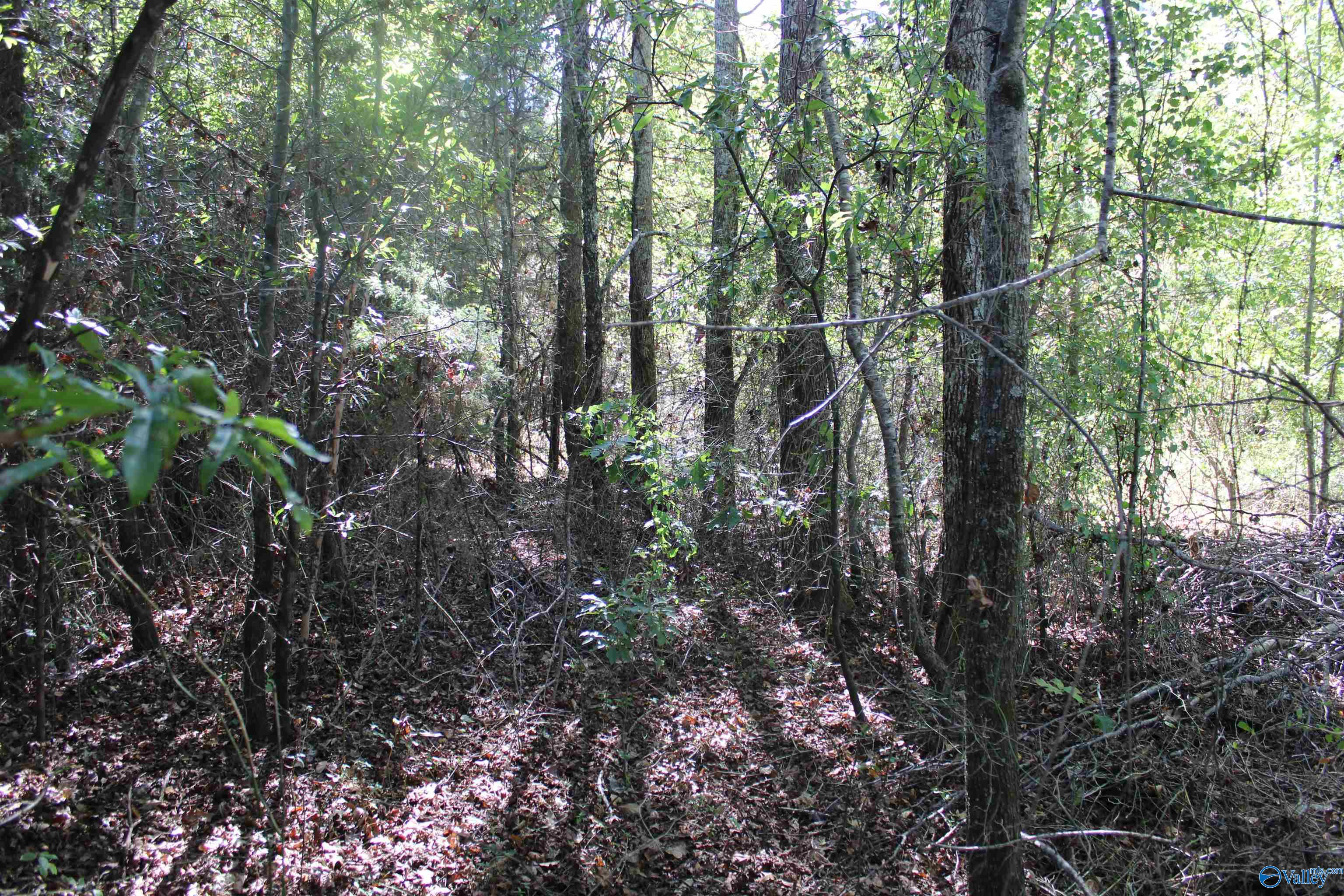 6.95 Acres 7th Street