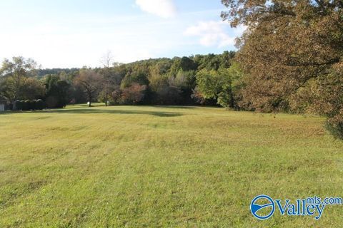 Vacant Land For Sale - 1.86 County Road 622<br/> Valley Head, AL 35989