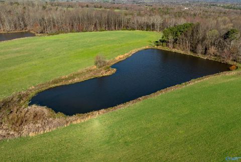 Vacant Land For Sale - 85 ACRES Woodland Drive<br/> Dekalb County, Ider, AL 35981