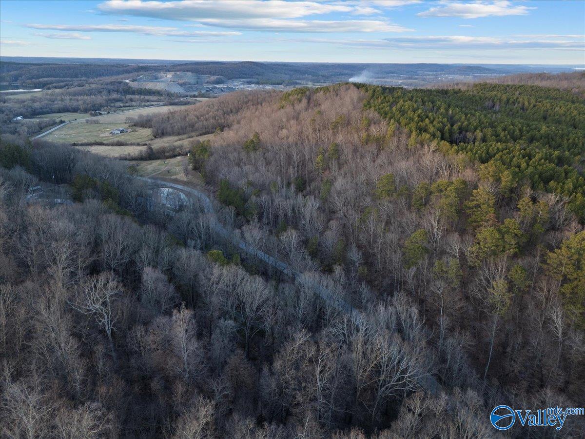 90 Rocky Hollow Road #7, Blountsville, Alabama image 4