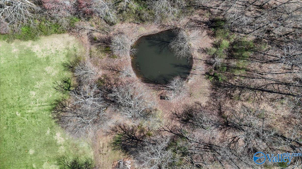14480 Ripley Road, Athens, Alabama image 41