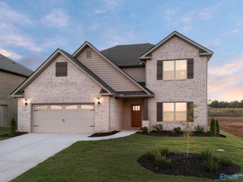 Photo of 138 Balboa Road, Meridianville, AL 35759 (MLS # 21919178)