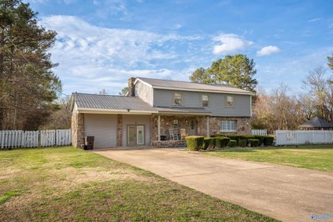 Photo of 4667 County Road 91, Stevenson, AL 35772 (MLS # 21912026)
