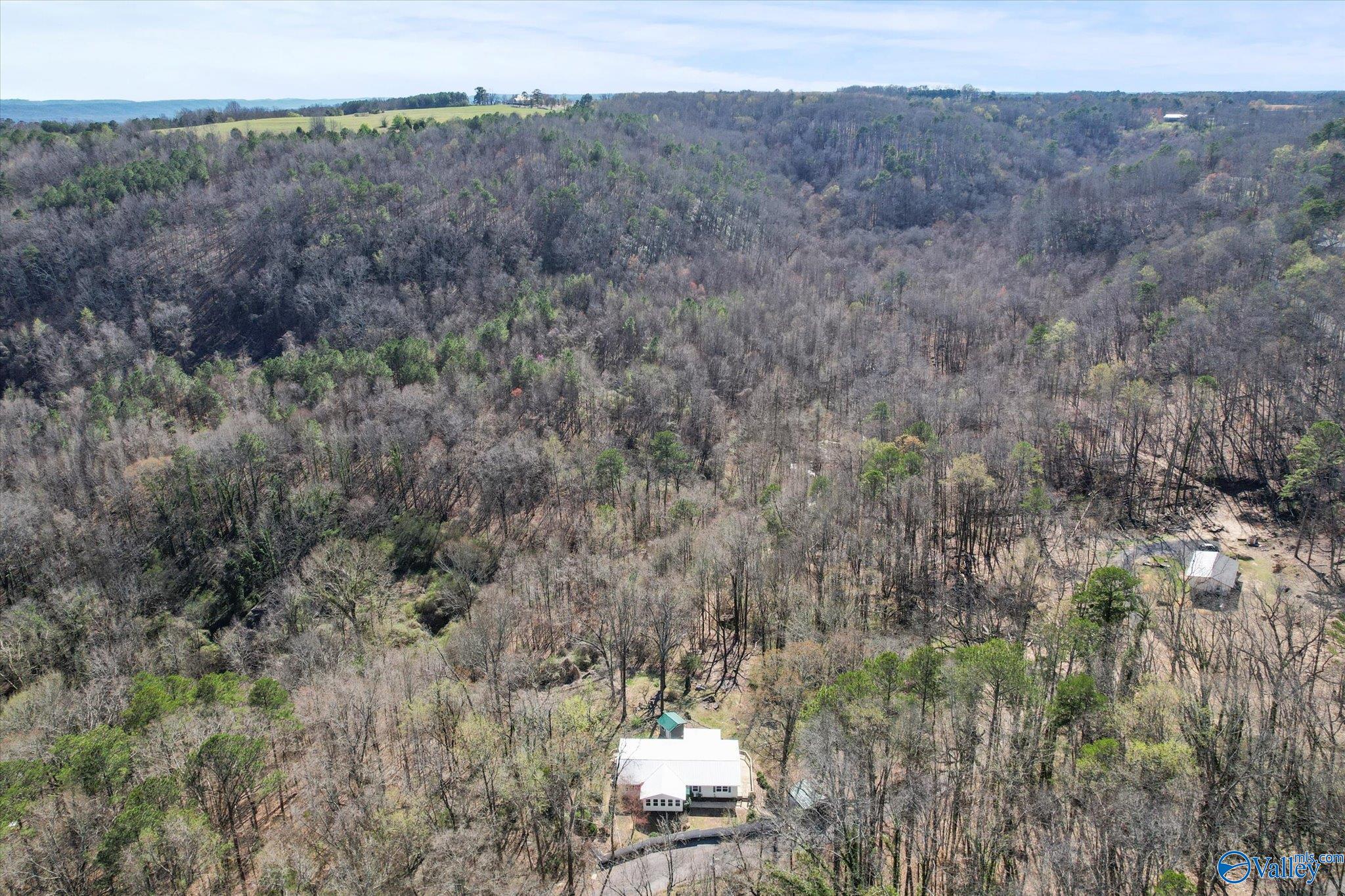 839 Bow Range Road, Guntersville, Alabama image 18