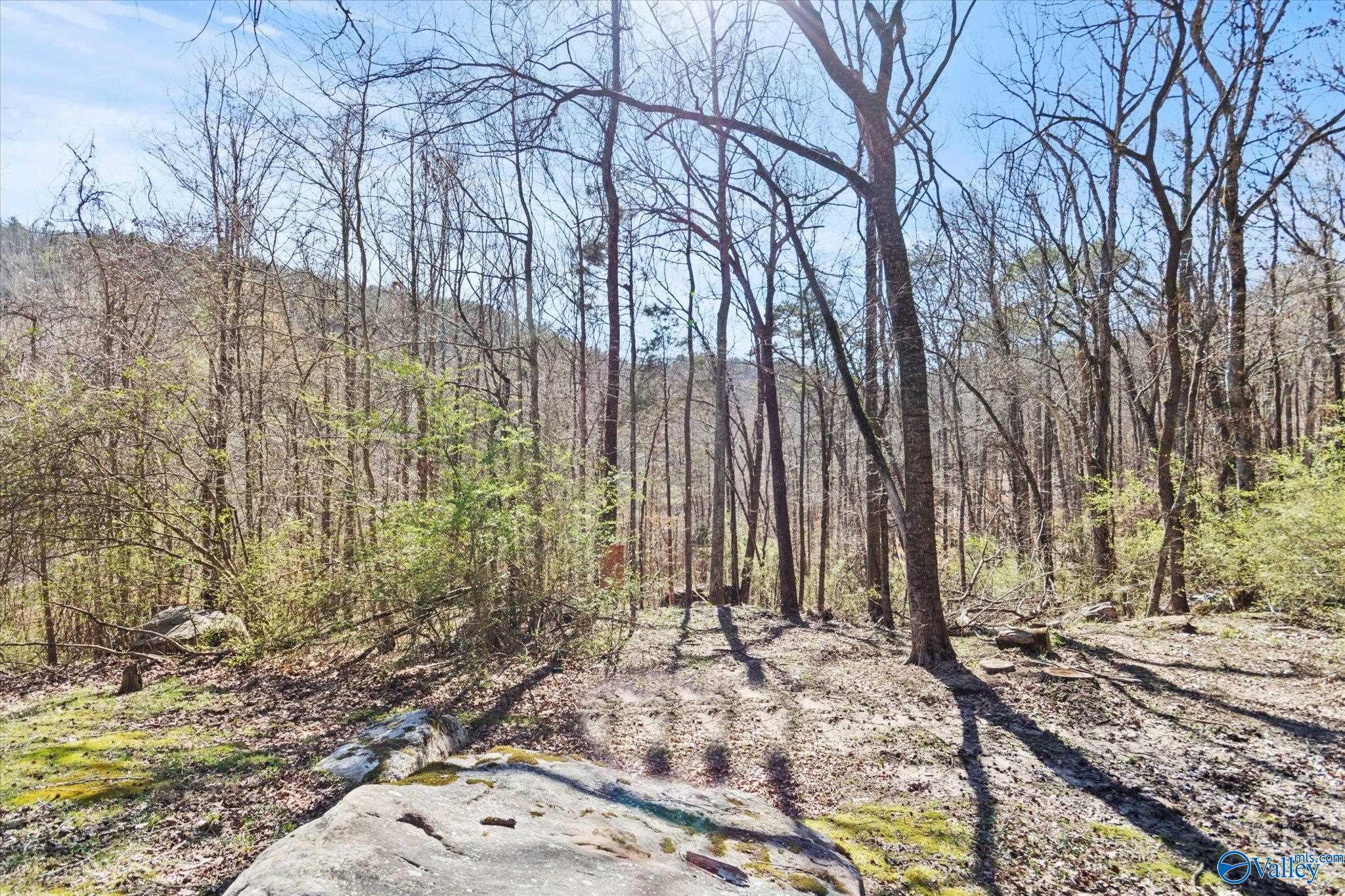 839 Bow Range Road, Guntersville, Alabama image 20