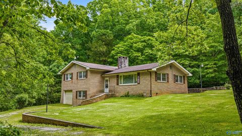 Homes For Sale - 4501 Hixon Road<br/> Fort Payne, AL 35967