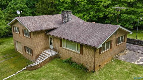 Photo of 4501 Hixon Road NW, Fort Payne, AL 35967 (MLS # 21917021)