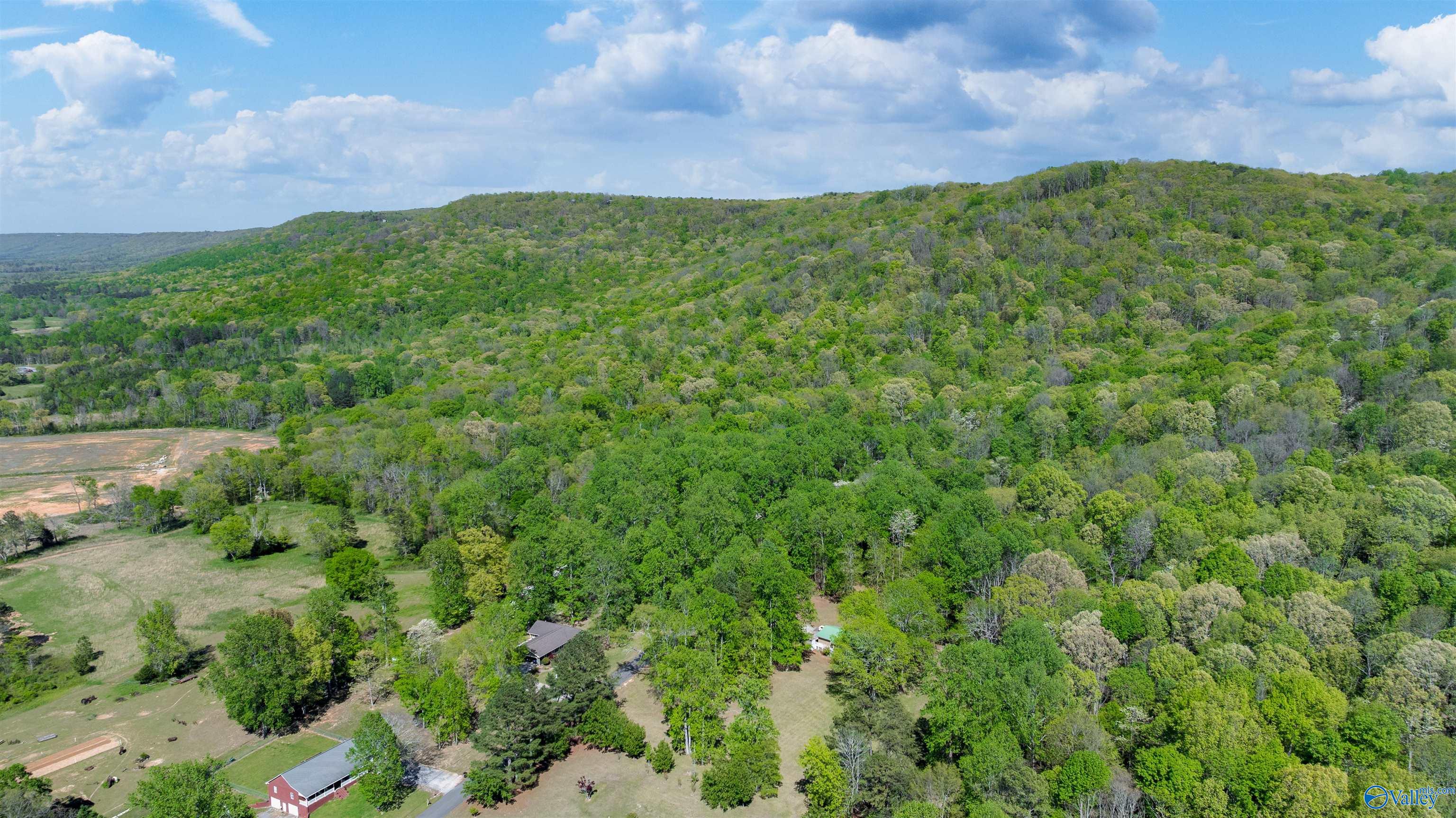 6004 Shanna Avenue, Fort Payne, Alabama image 33