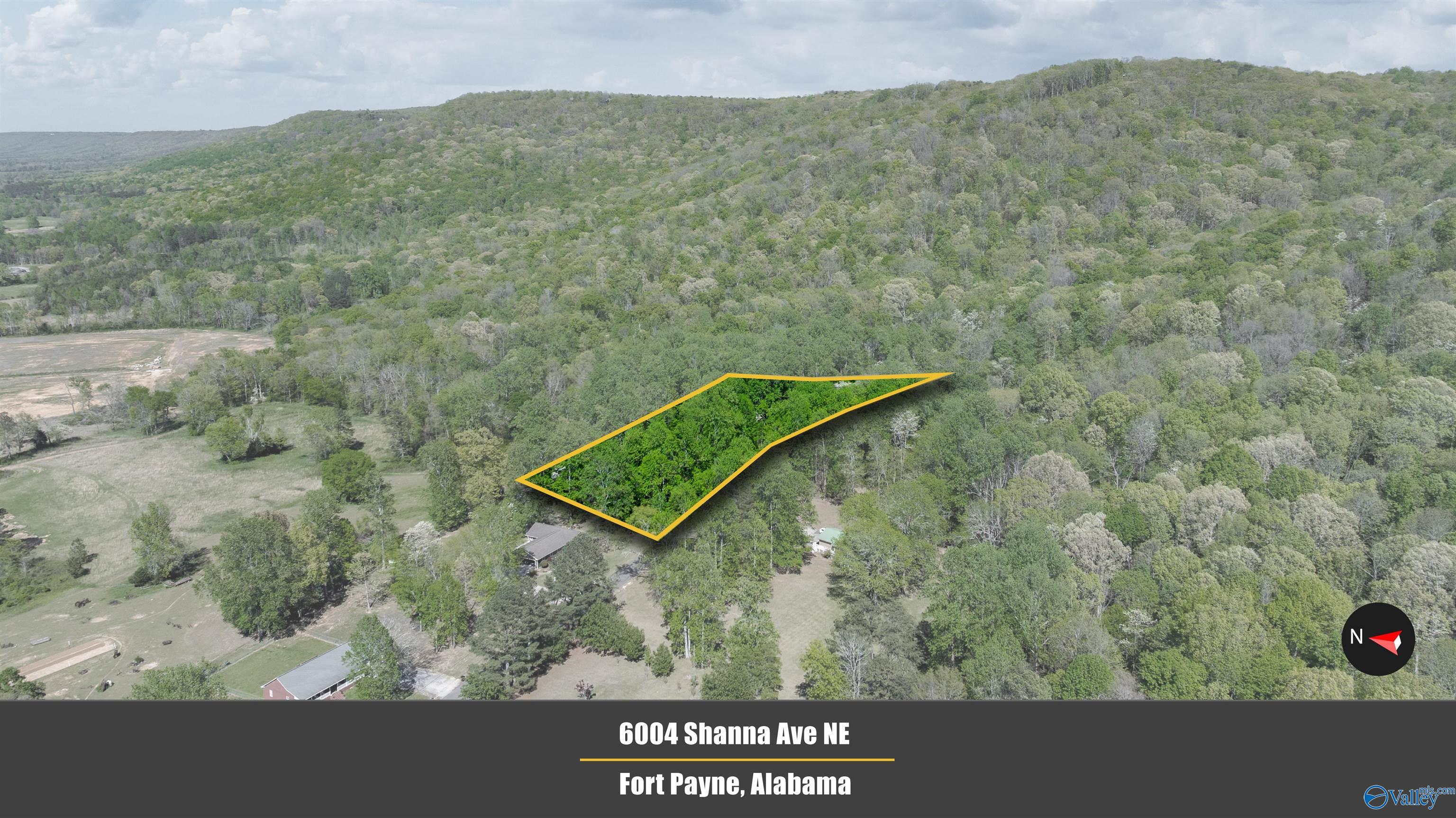 6004 Shanna Avenue, Fort Payne, Alabama image 42