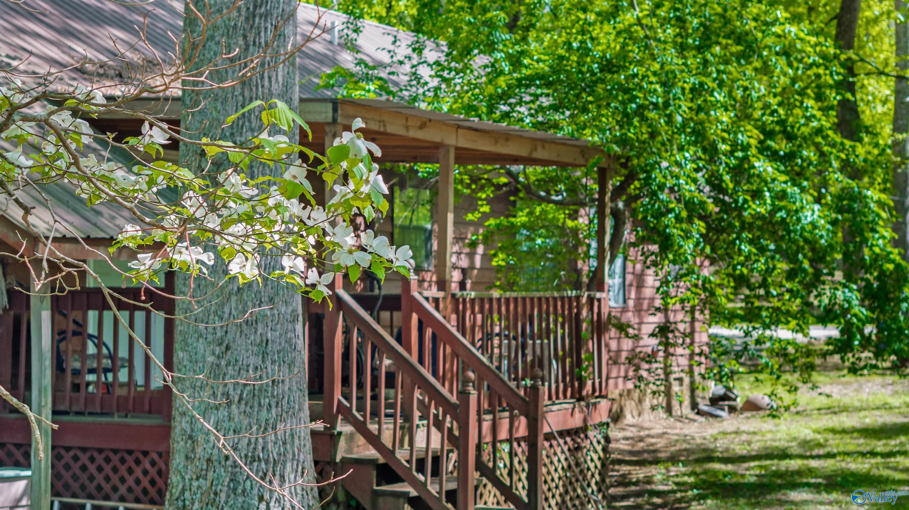 6004 Shanna Avenue, Fort Payne, Alabama image 9