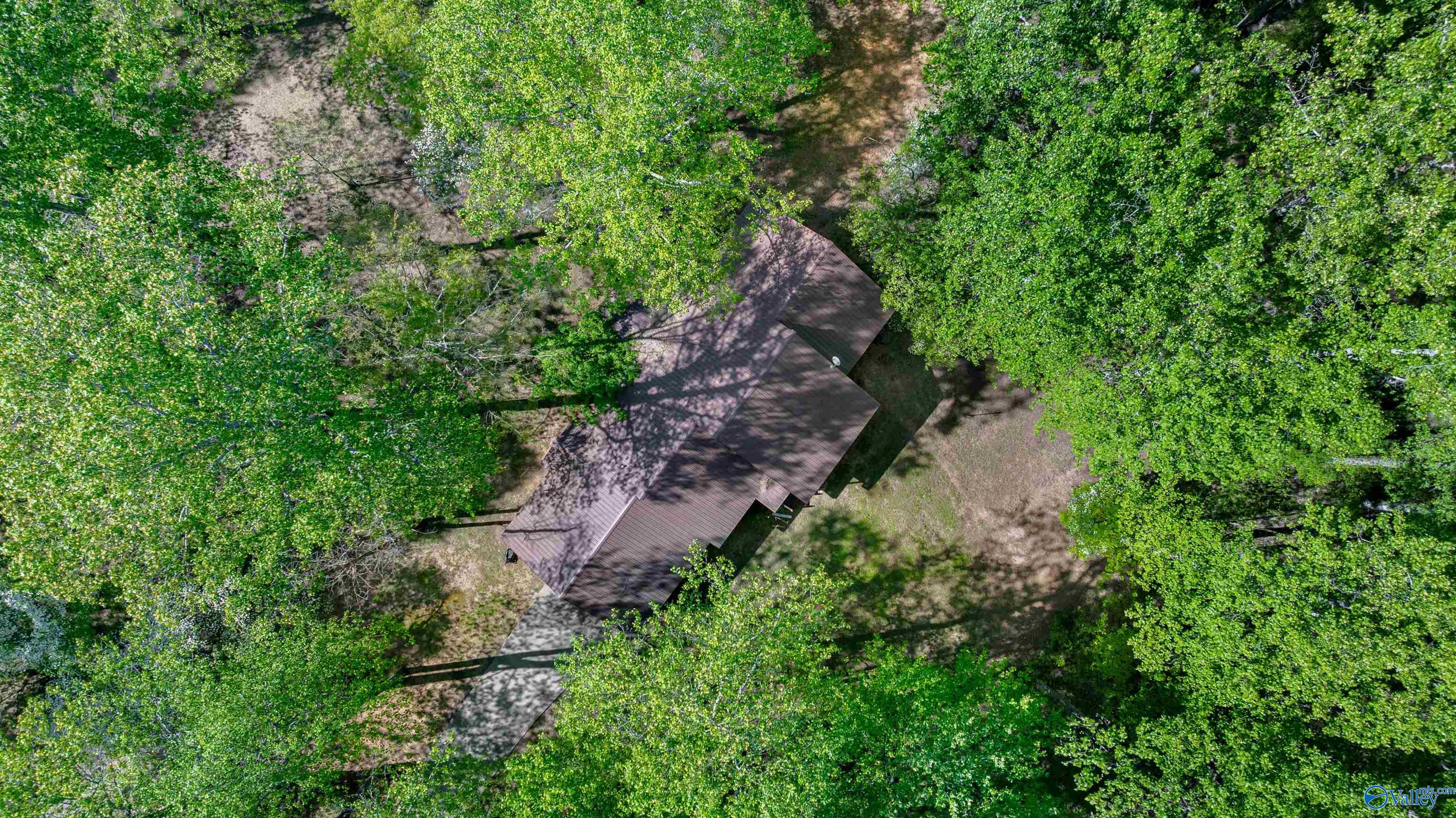 6004 Shanna Avenue, Fort Payne, Alabama image 31