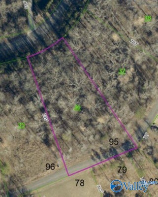 384 MONTE SANO DR, SCOTTSBORO, AL 35769 - Image 7ae33cff6eb0dfee748792a7587c06a8/2584907183