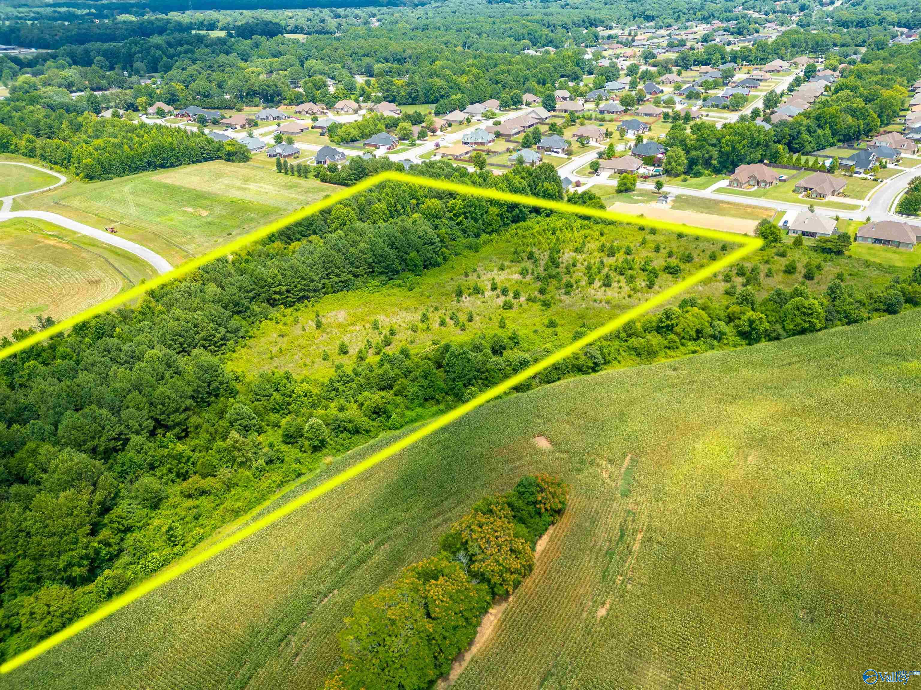 8 Acres Wall Triana Hwy, Harvest, Alabama image 7