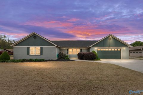 Homes For Sale - 2201 Auburn Drive<br/> Morgan County, Decatur, AL 35603