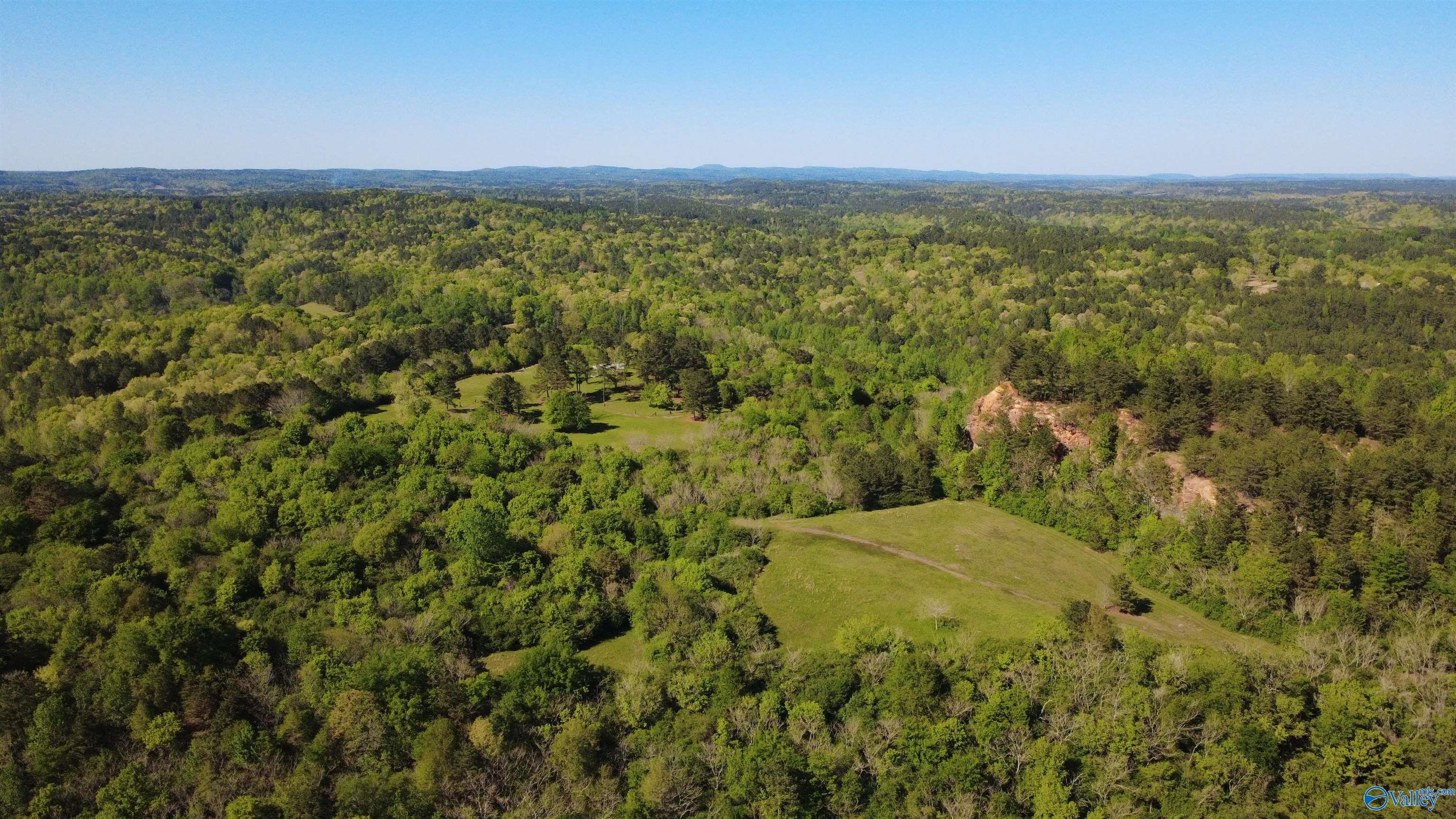1915 Gurley Road, Trafford, Alabama image 4