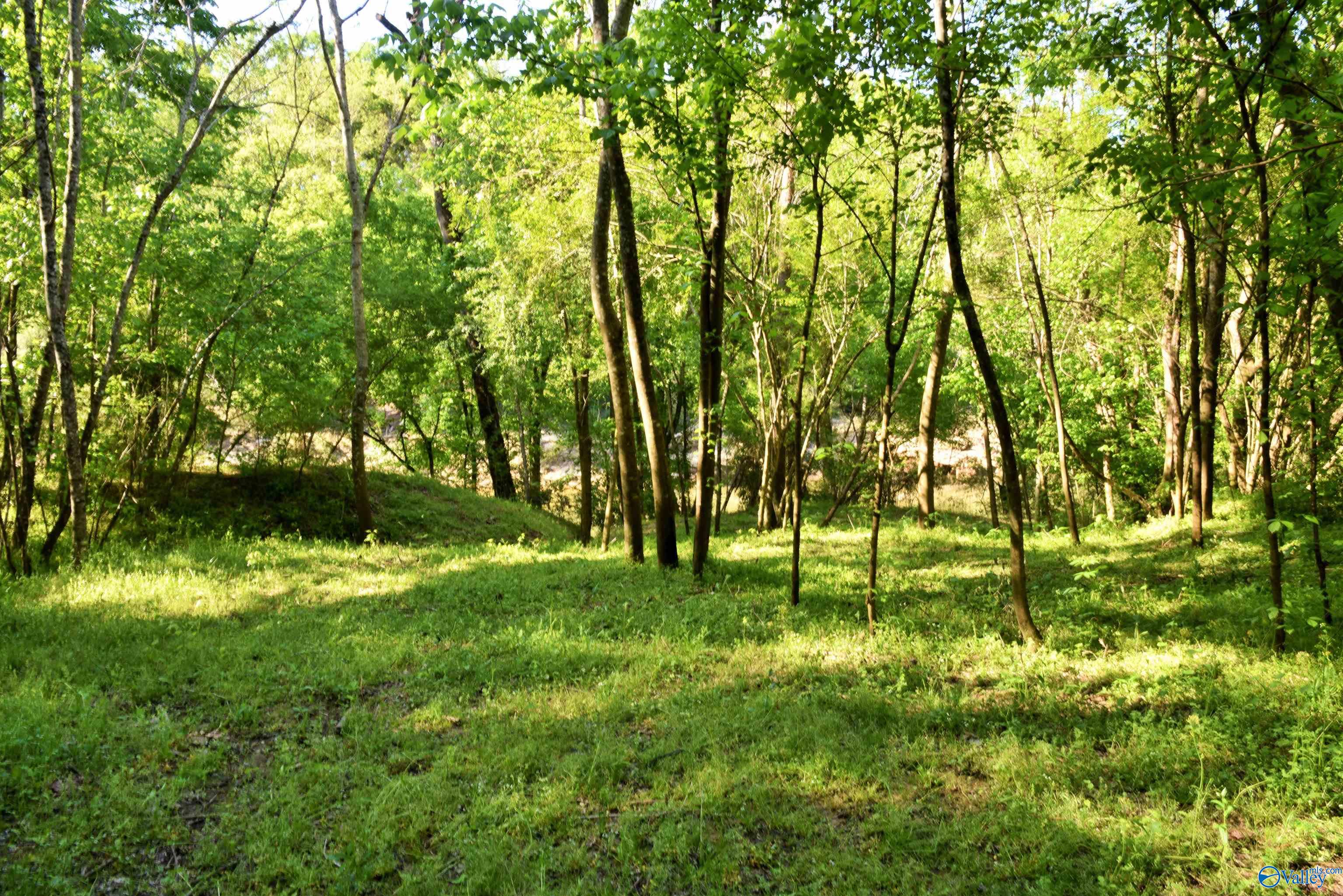1915 Gurley Road, Trafford, Alabama image 18