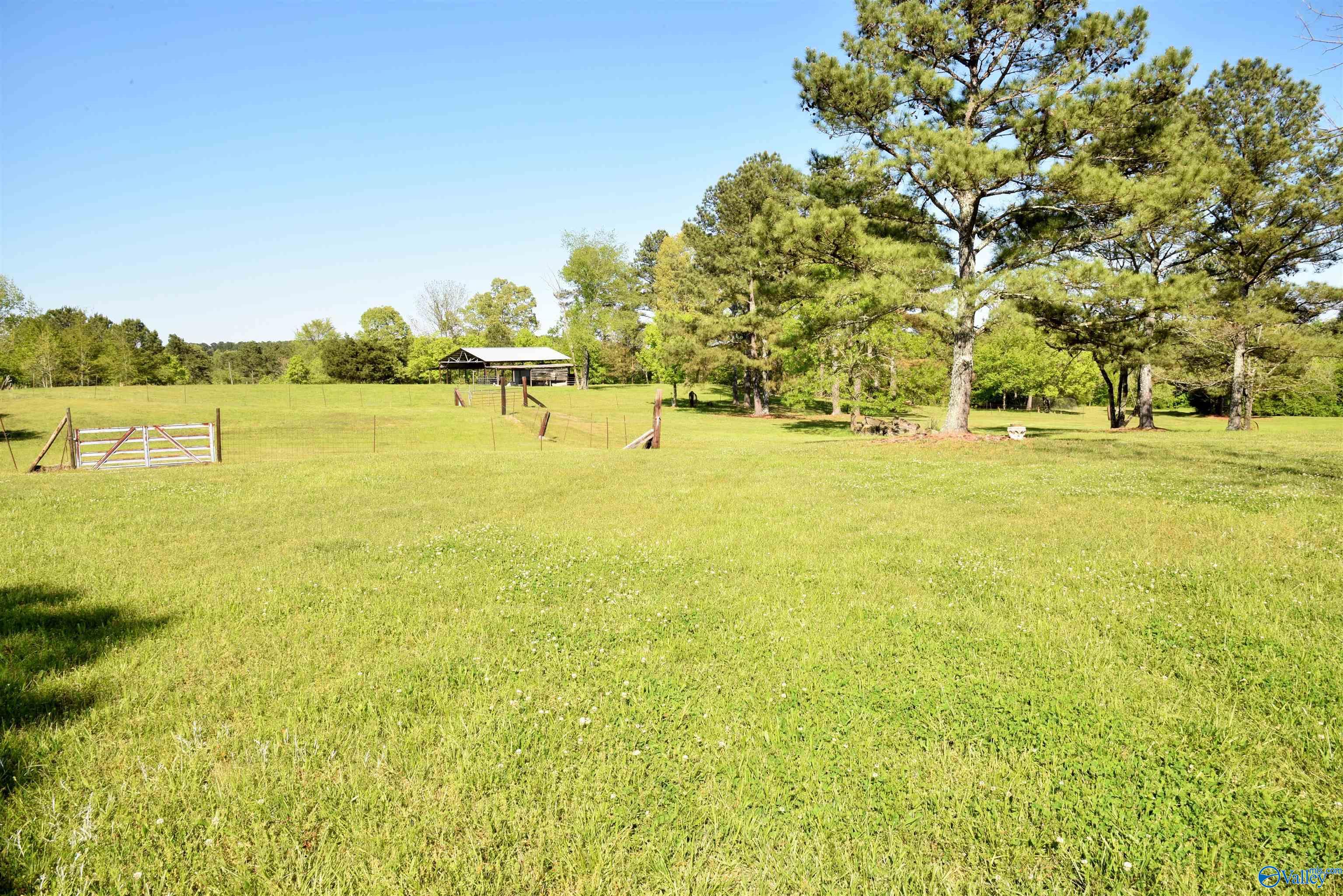1915 Gurley Road, Trafford, Alabama image 15