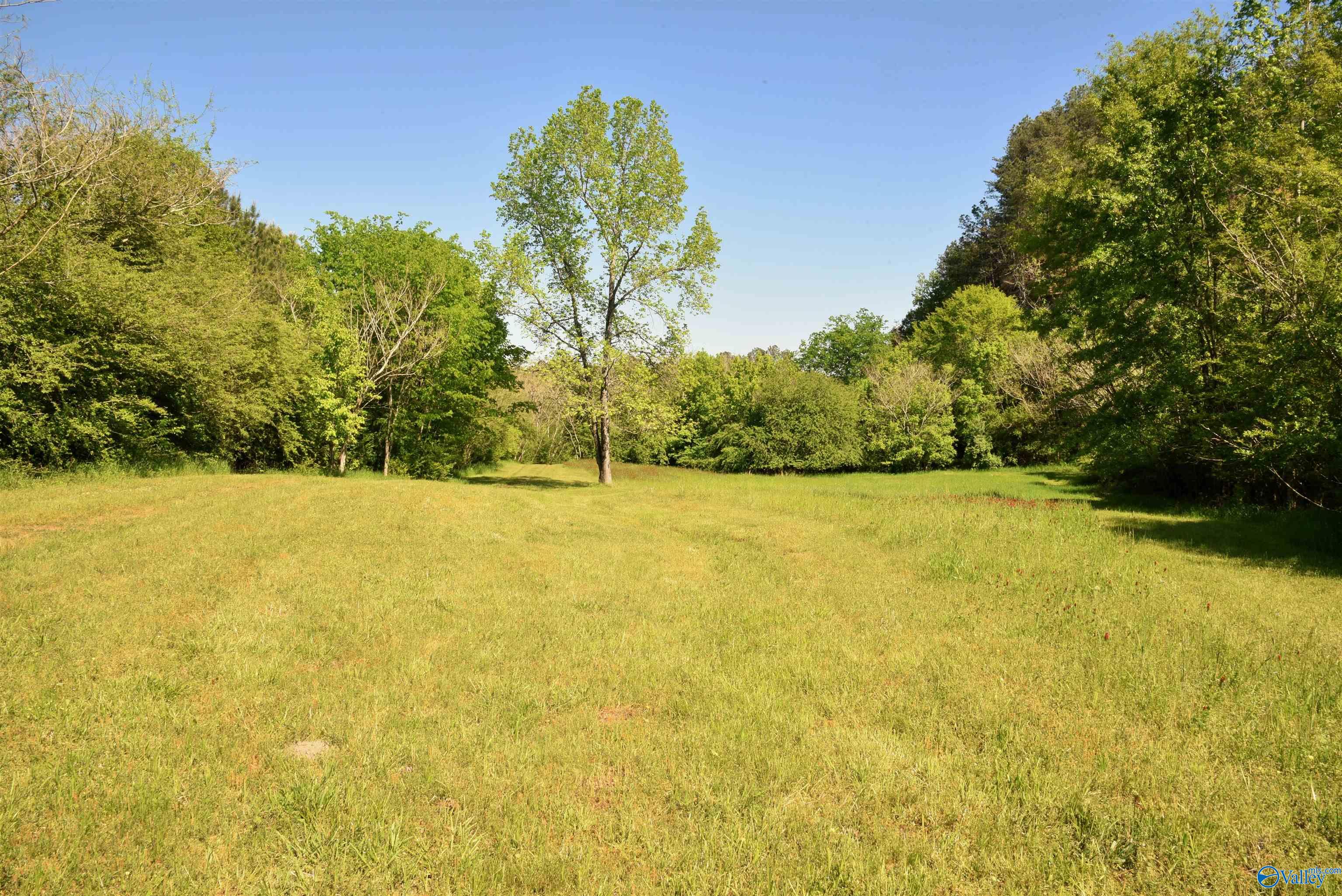 1915 Gurley Road, Trafford, Alabama image 9