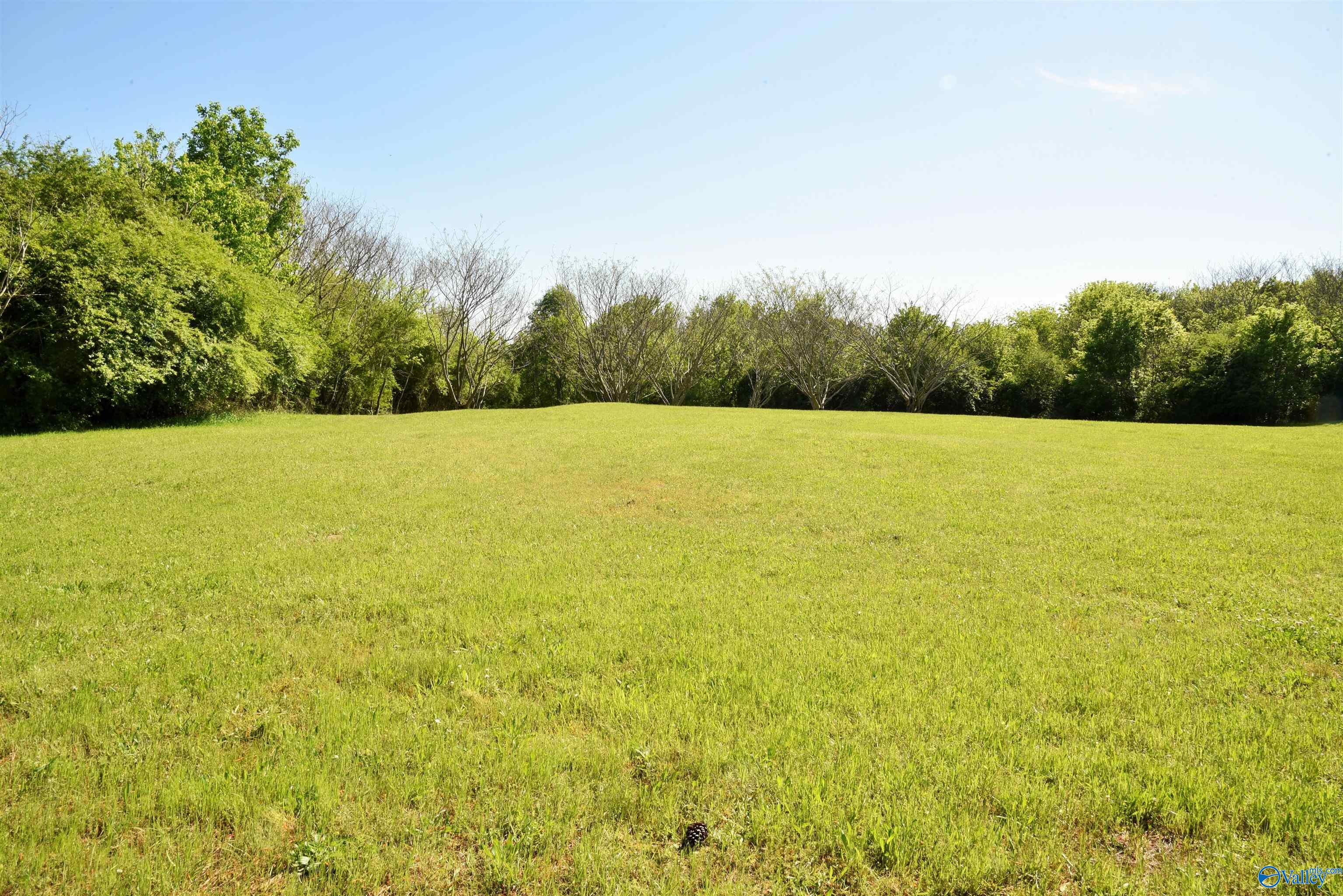 1915 Gurley Road, Trafford, Alabama image 13