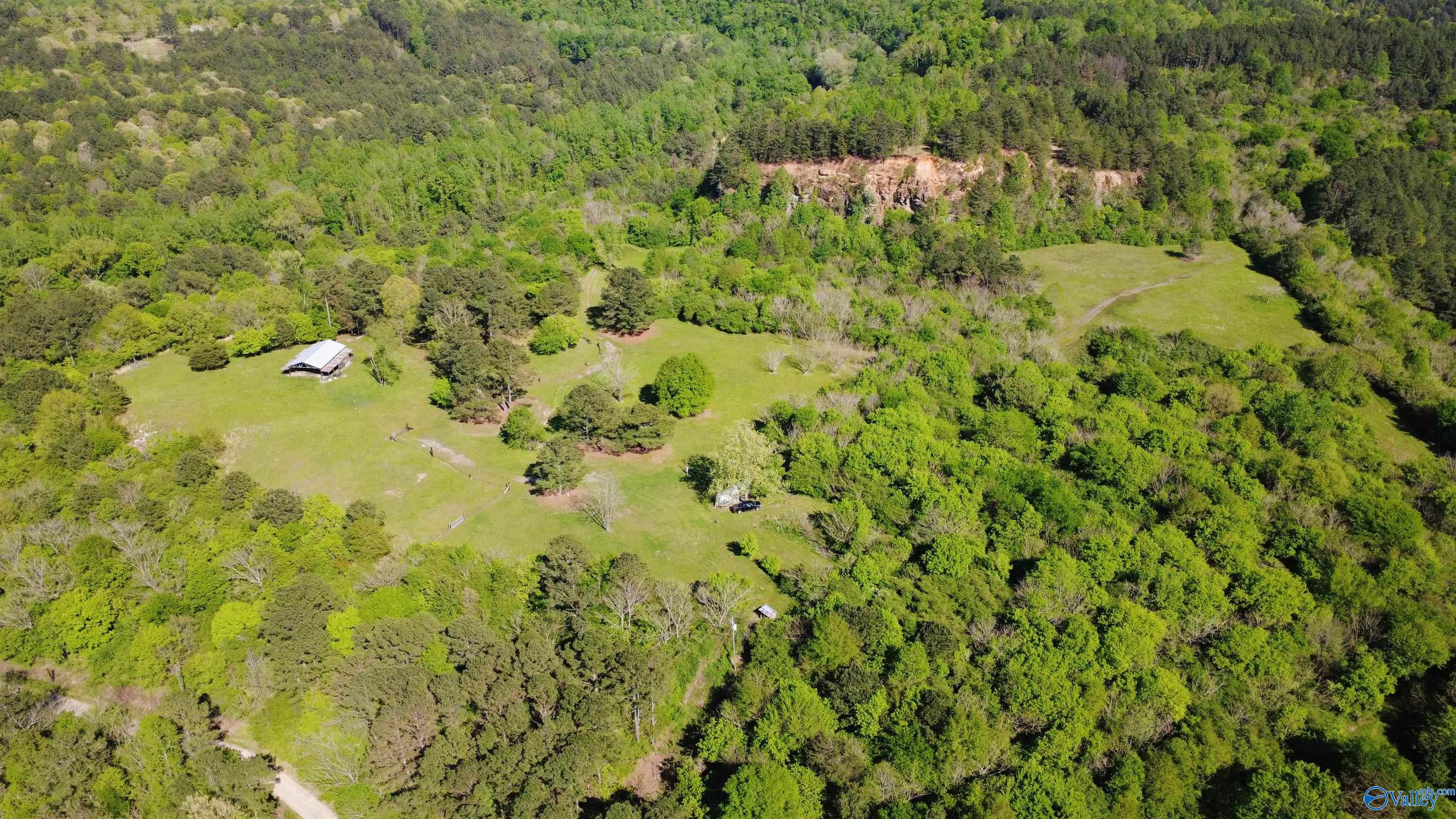 1915 Gurley Road, Trafford, Alabama image 2