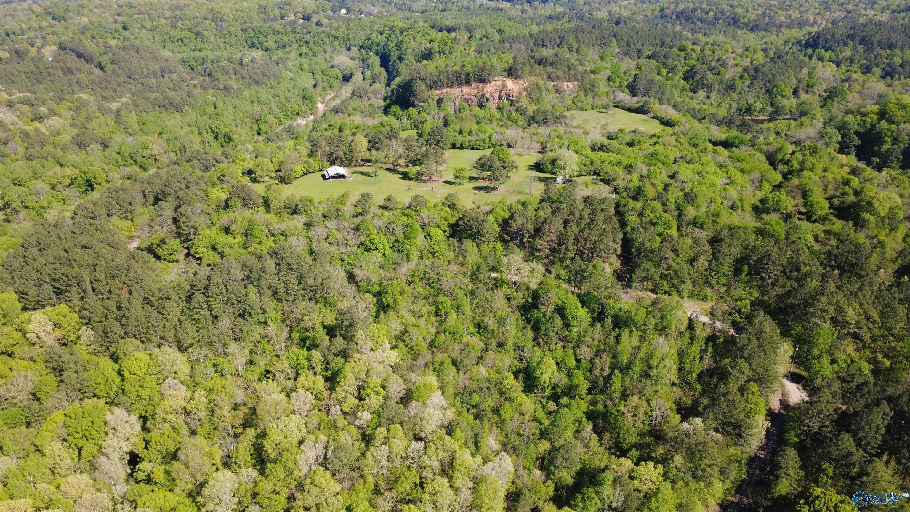 1915 Gurley Road, Trafford, Alabama image 3