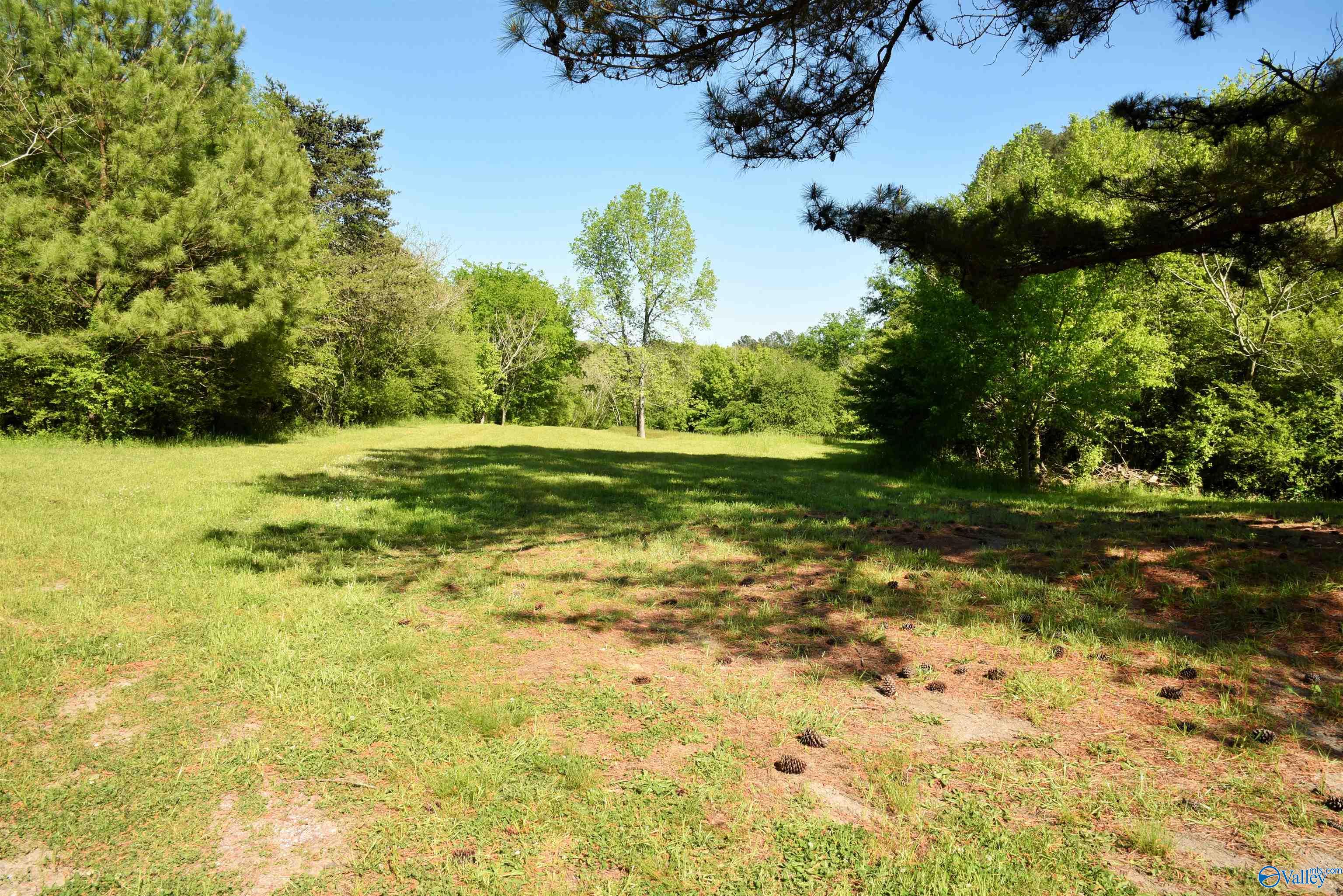 1915 Gurley Road, Trafford, Alabama image 10
