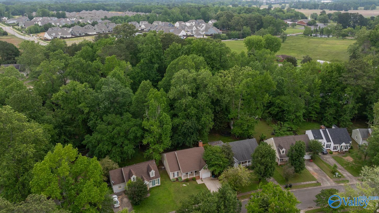 113 Suffolk Drive, Madison, Alabama image 26