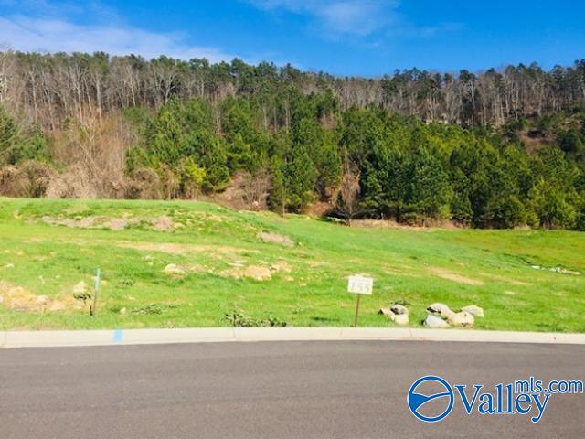 Lot 155 Colonial Drive, Guntersville, Alabama image 14