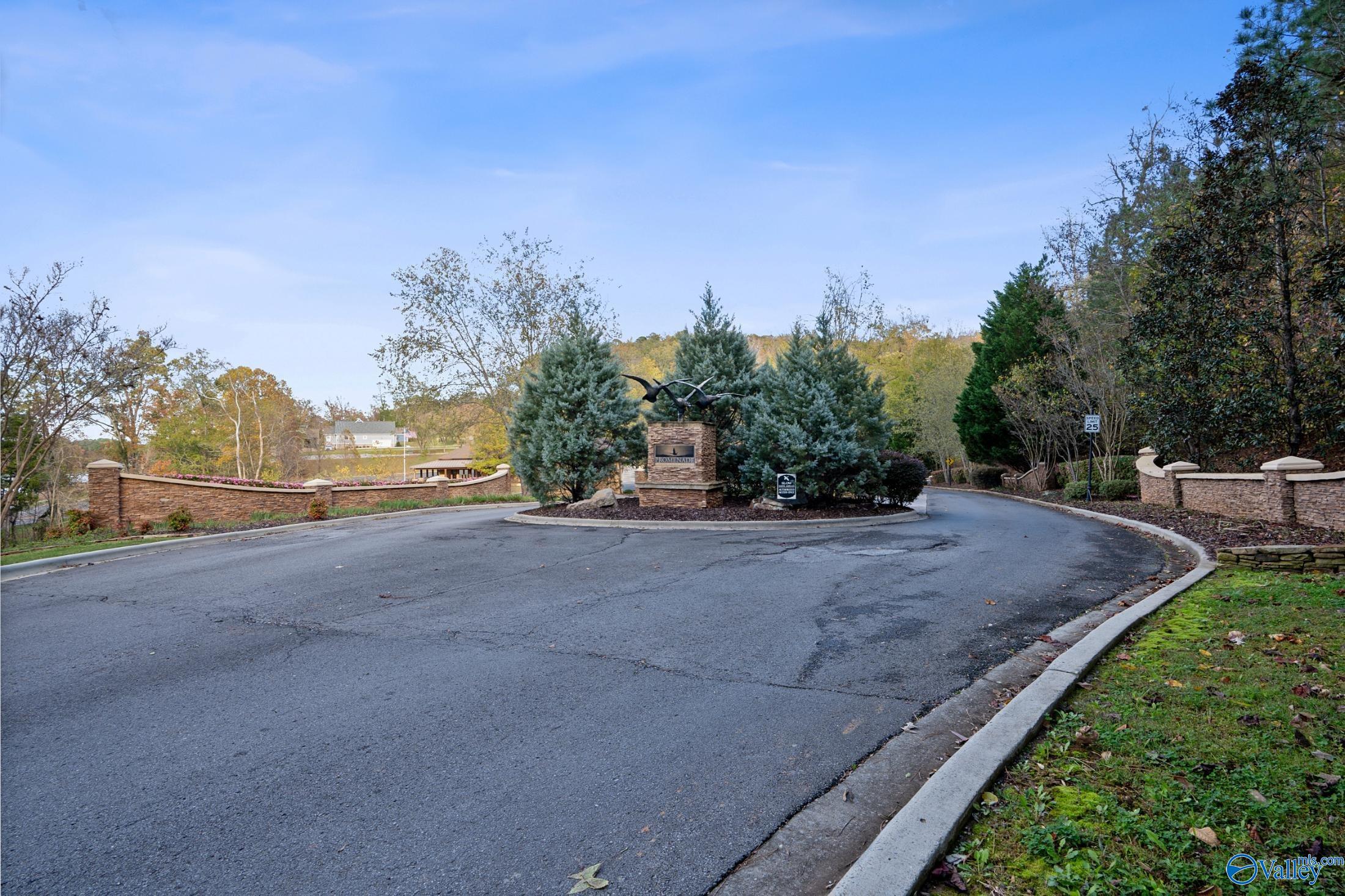 Lot 110 Lookout Mountain Drive, Scottsboro, Alabama image 4