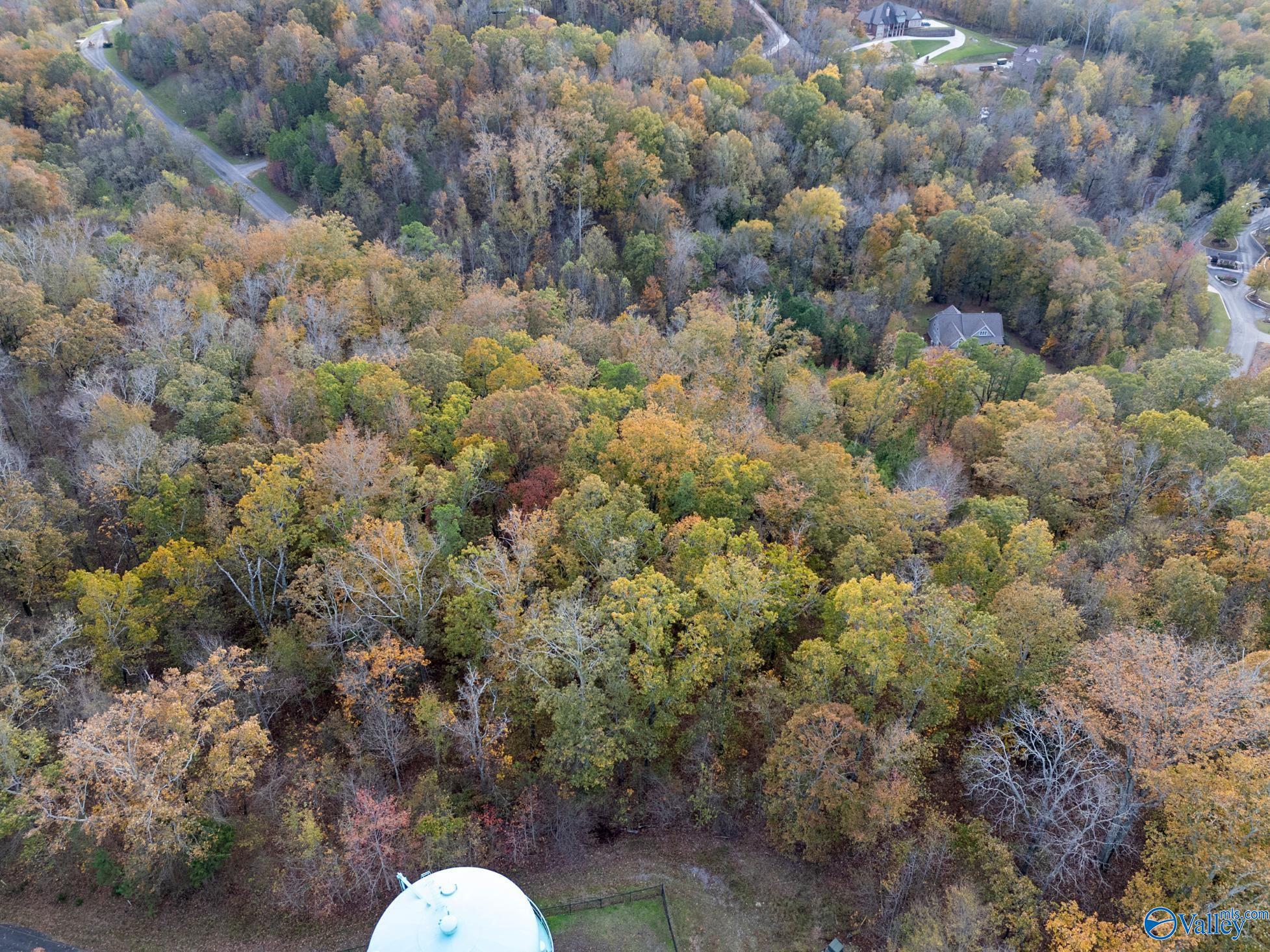 Lot 110 Lookout Mountain Drive, Scottsboro, Alabama image 8