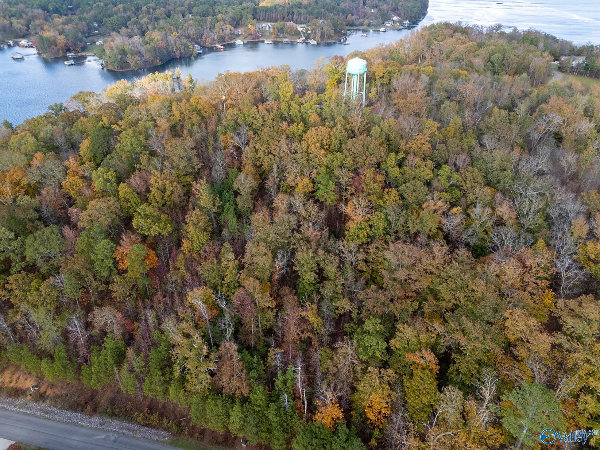 Lot 110 Lookout Mountain Drive, Scottsboro, Alabama image 7