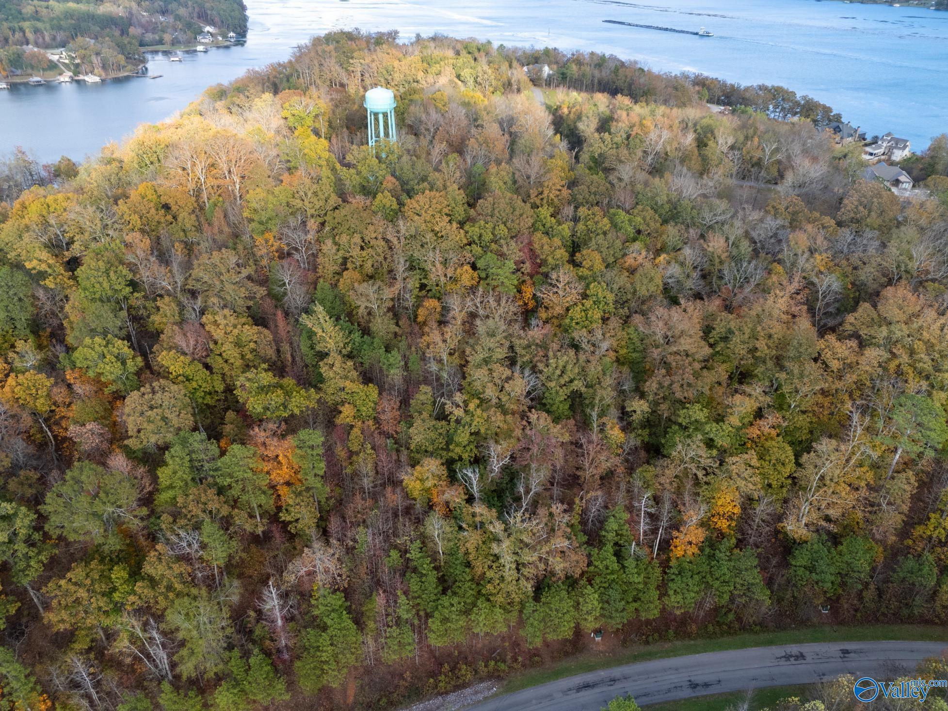 Lot 110 Lookout Mountain Drive, Scottsboro, Alabama image 1