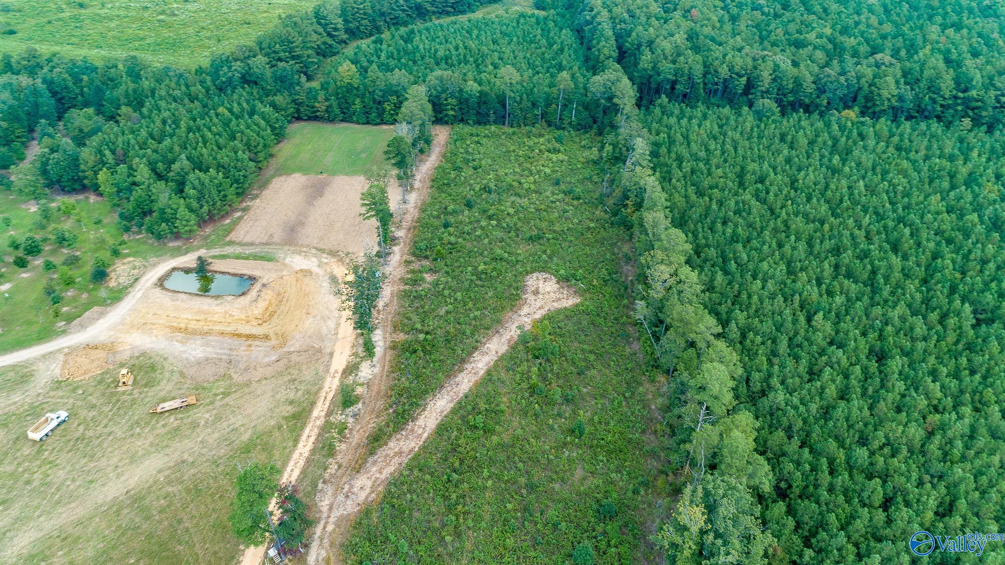 7.80 Acres Alabama Highway 24, Mount Hope, Alabama image 13