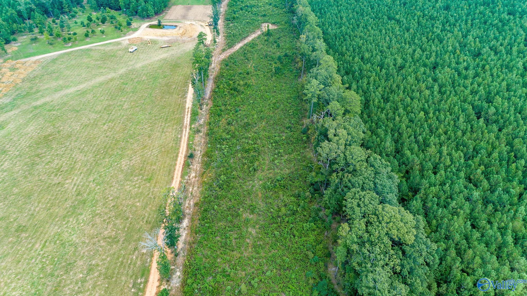 7.80 Acres Alabama Highway 24, Mount Hope, Alabama image 14