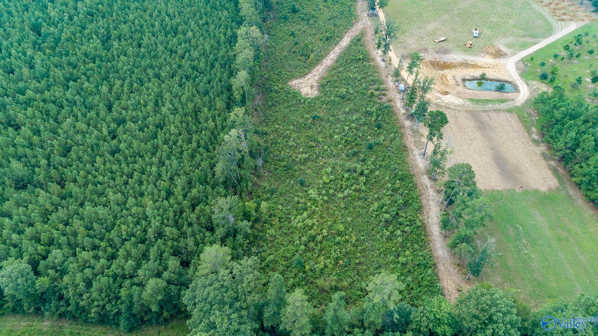 7.80 Acres Alabama Highway 24, Mount Hope, Alabama image 10