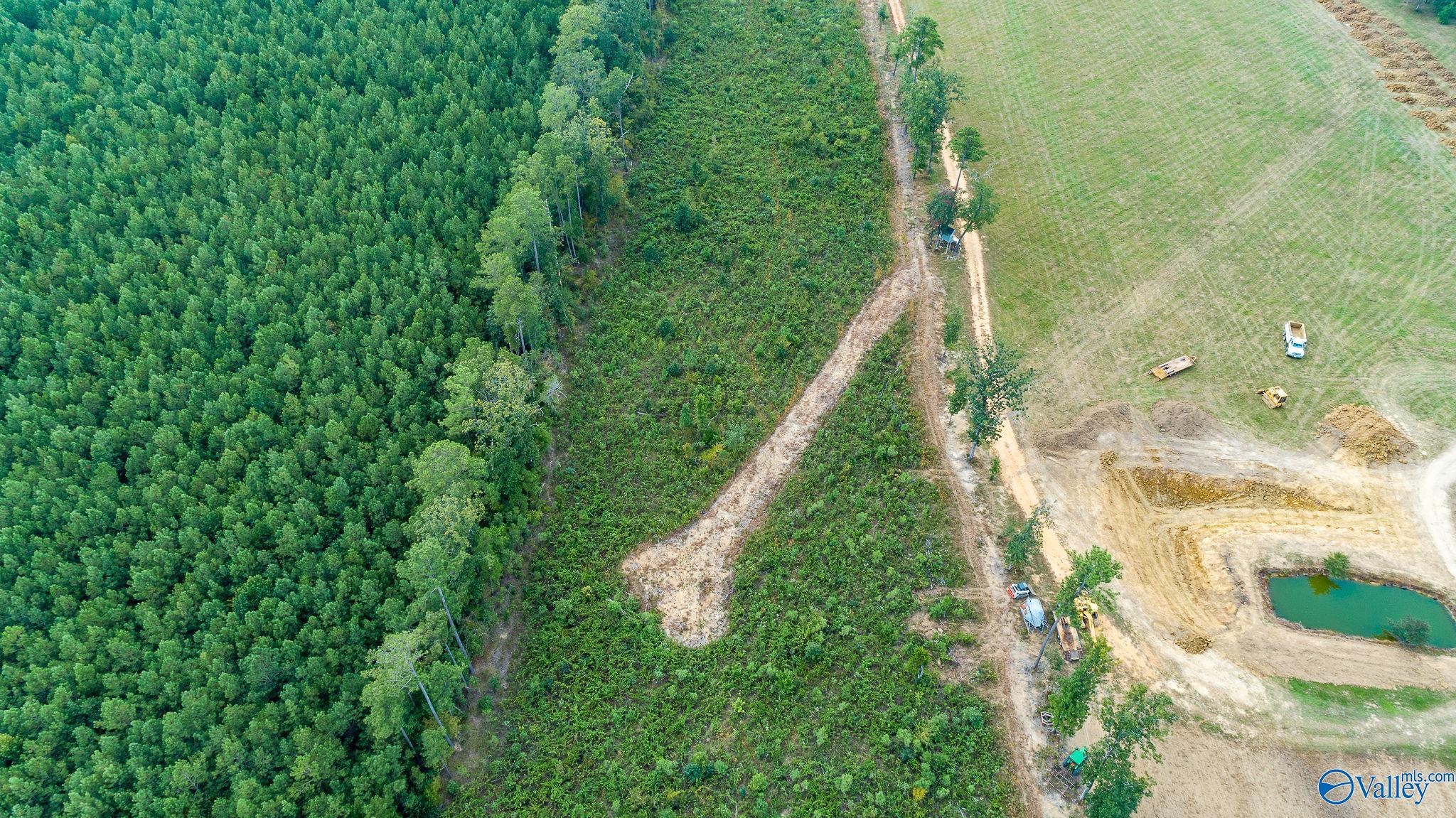 7.80 Acres Alabama Highway 24, Mount Hope, Alabama image 11
