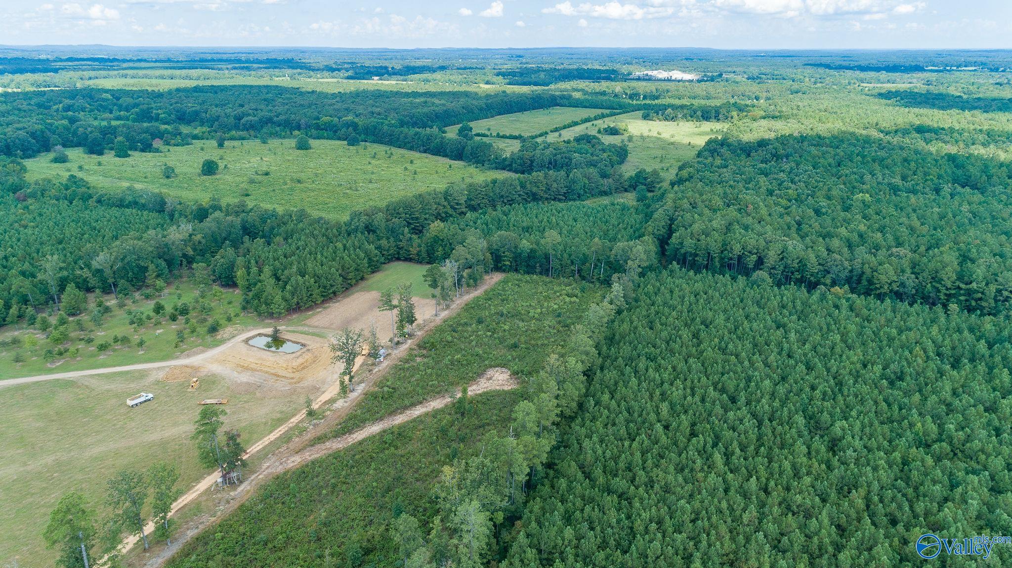 7.80 Acres Alabama Highway 24, Mount Hope, Alabama image 6
