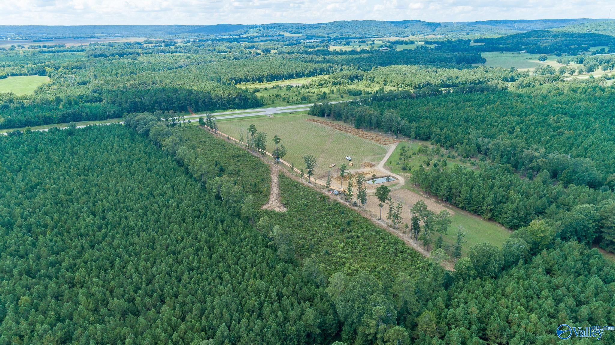 7.80 Acres Alabama Highway 24, Mount Hope, Alabama image 7