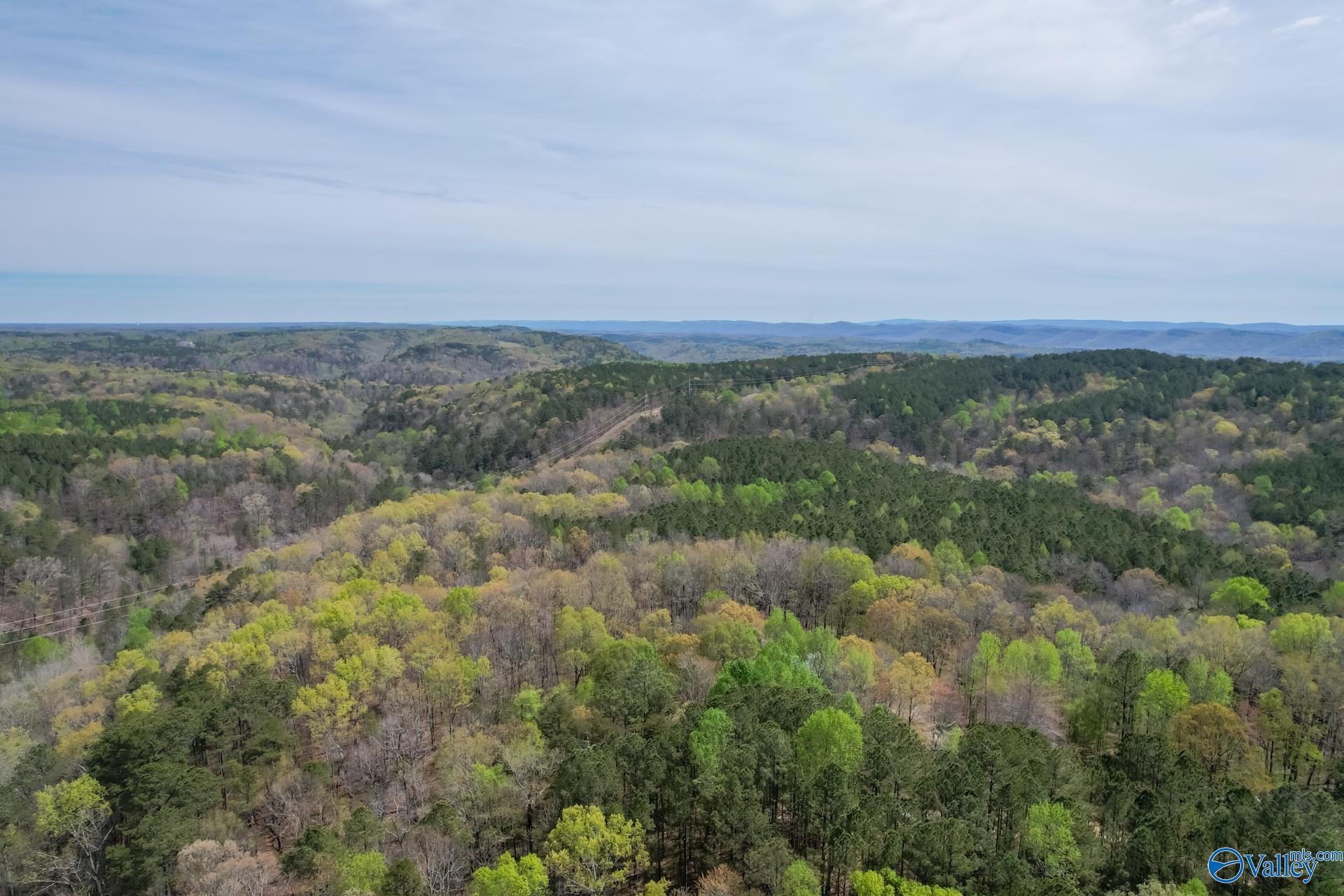 1 Carlisle Acres, Attalla, Alabama image 9