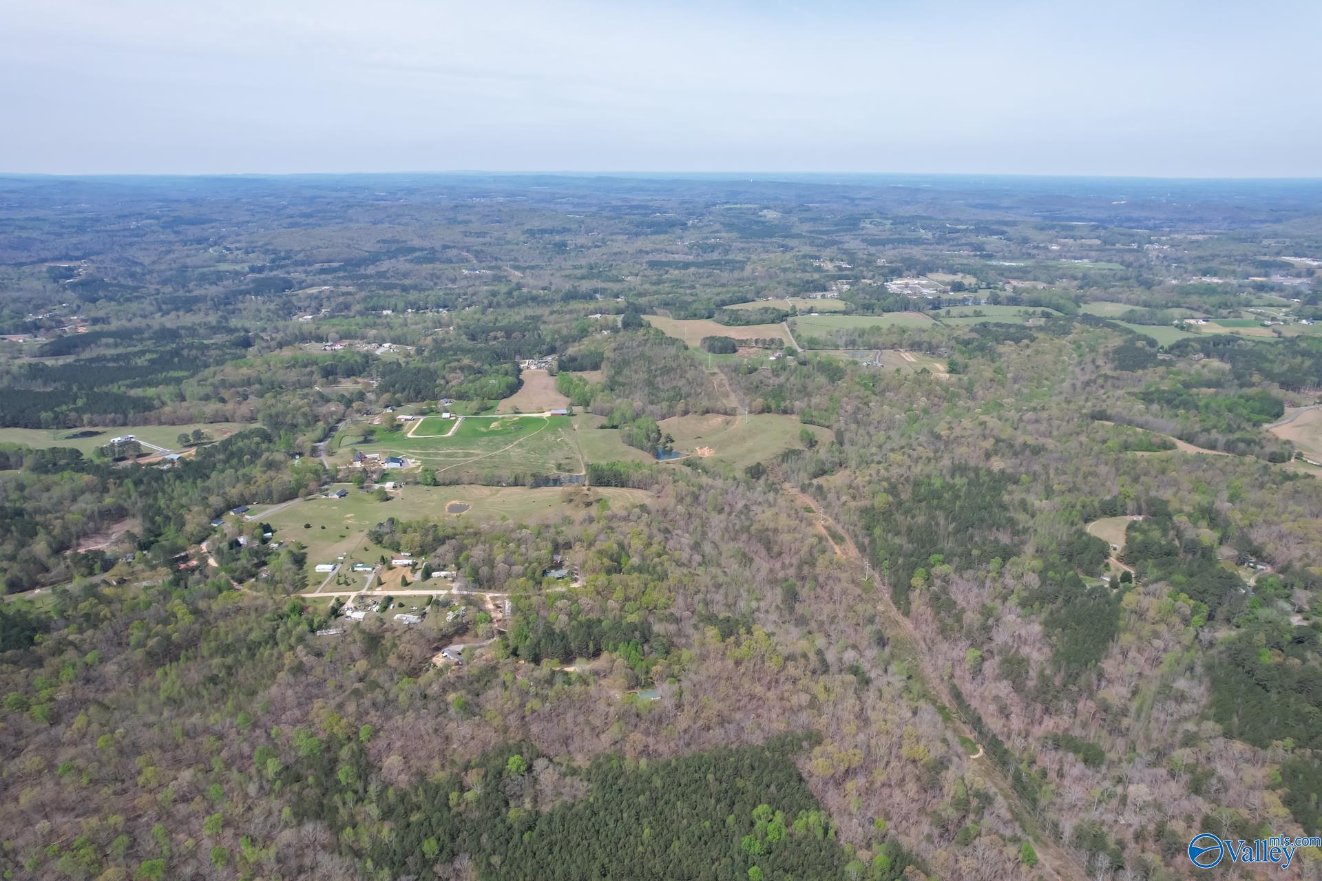 1 Carlisle Acres, Attalla, Alabama image 8