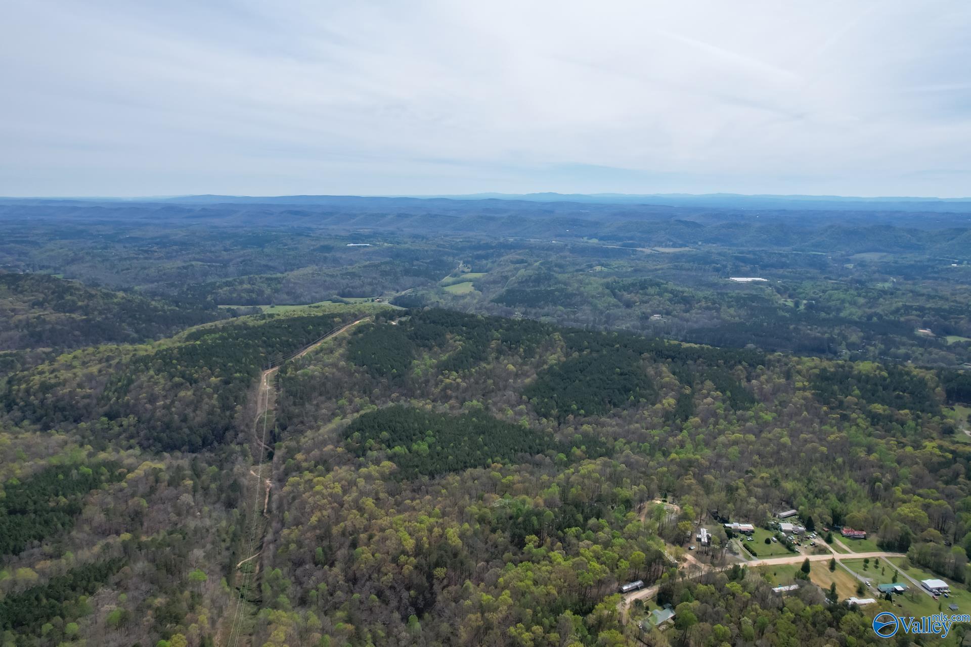 1 Carlisle Acres, Attalla, Alabama image 4