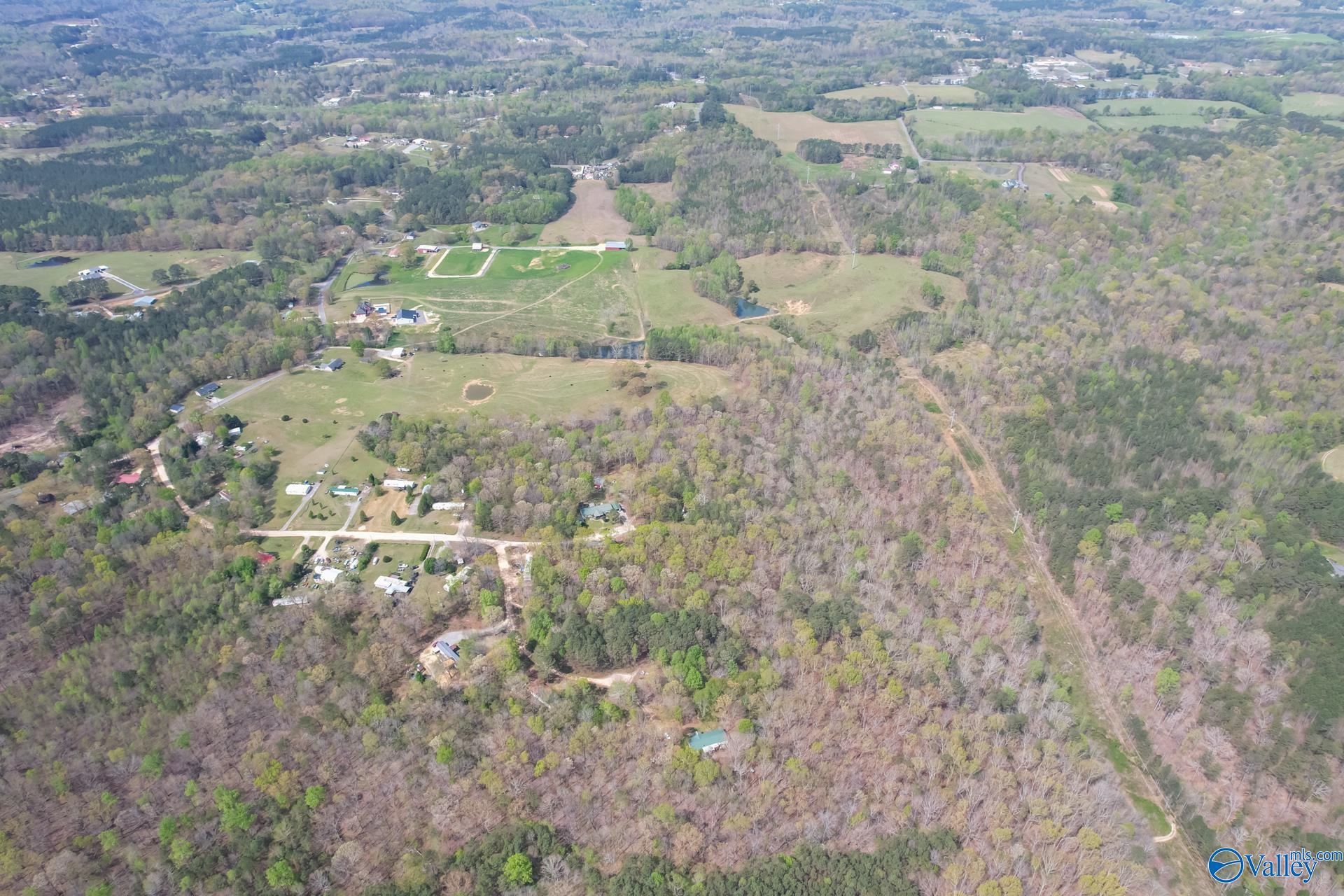 1 Carlisle Acres, Attalla, Alabama image 7