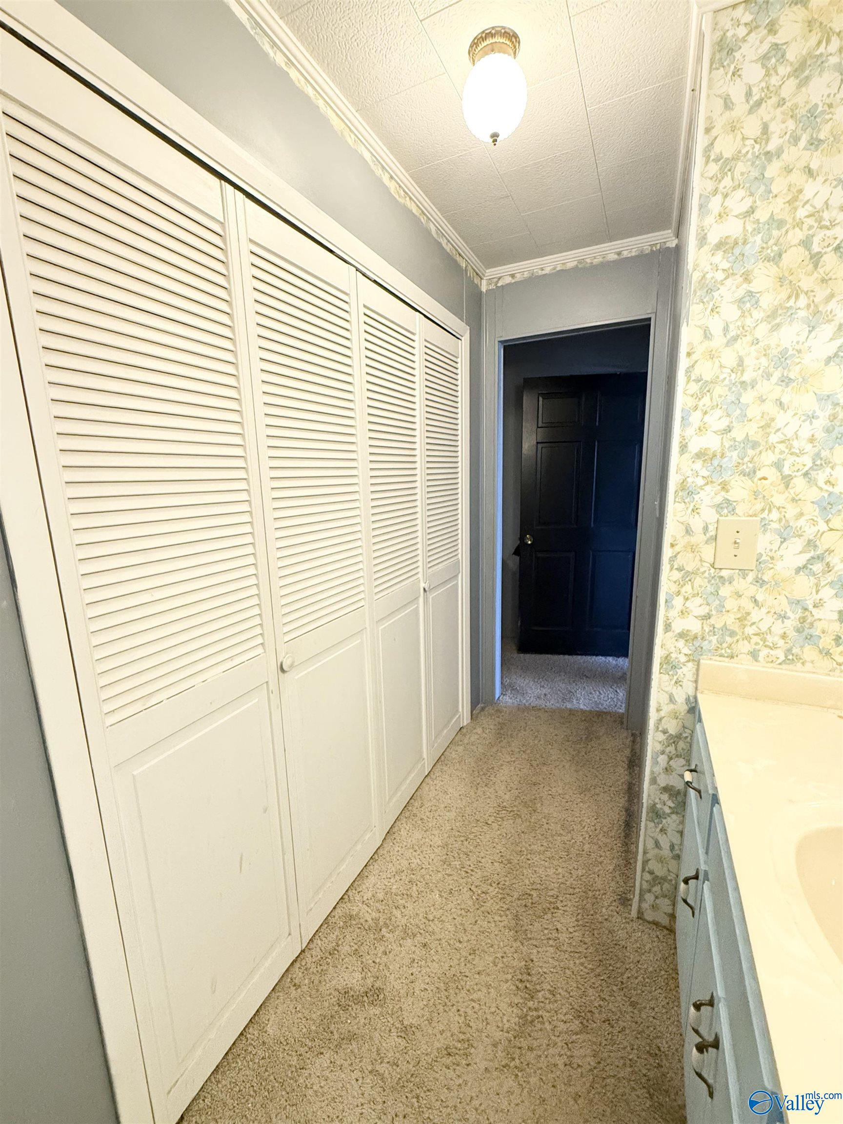 773 County Road 26, Crossville, Alabama image 15