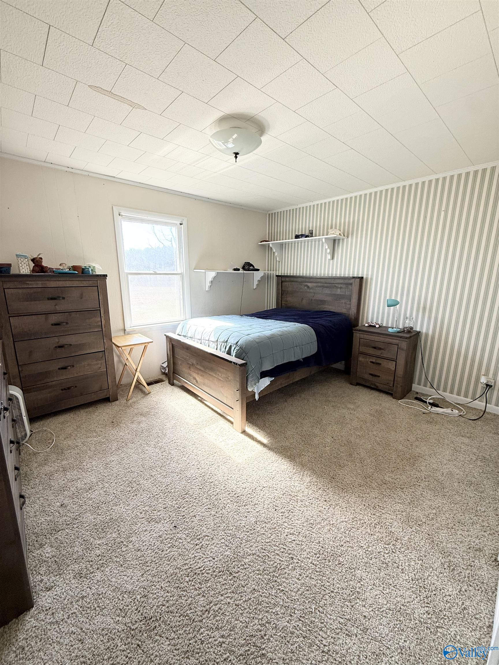 773 County Road 26, Crossville, Alabama image 16