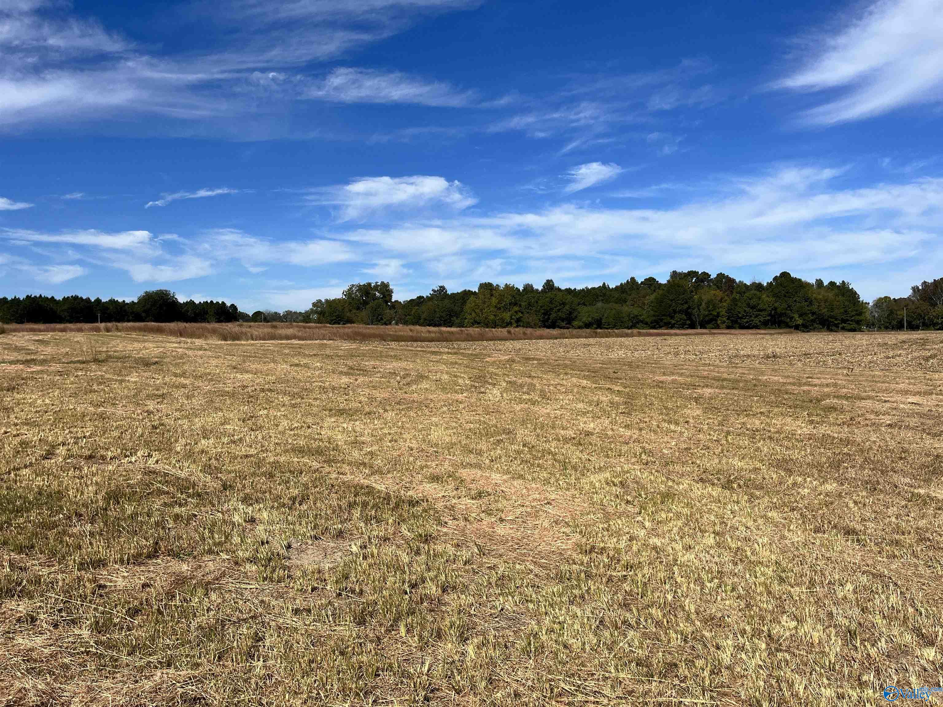 3310 County Road 34, Centre, Alabama image 8